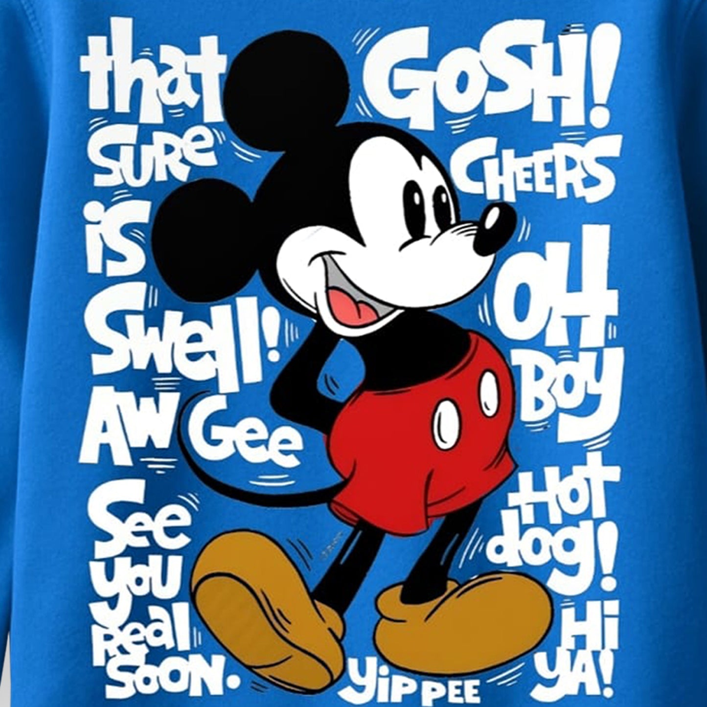 Kuchipoo © Disney Boys Regular Fit Winterwear Sweatshirt