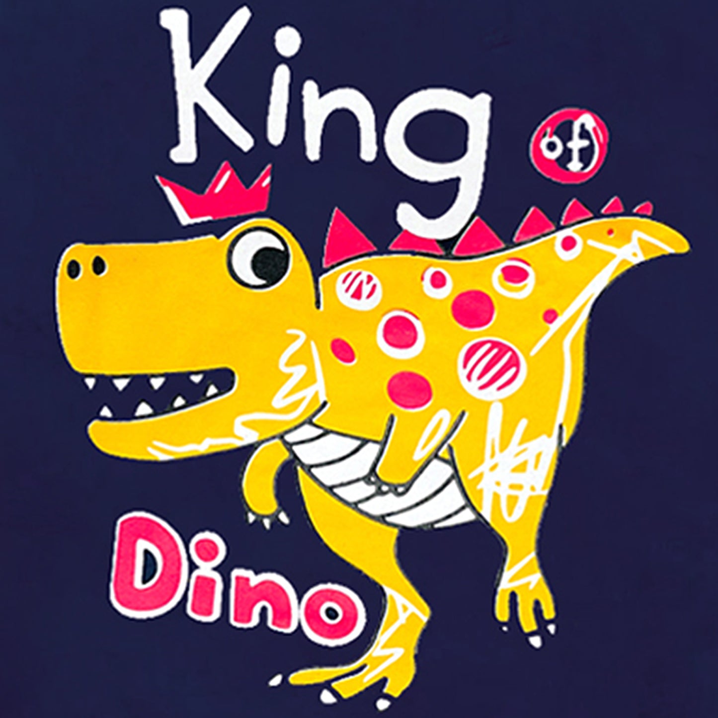 KUCHIPOO Baby Boys Girls T-Shirts and Pyjamas Set