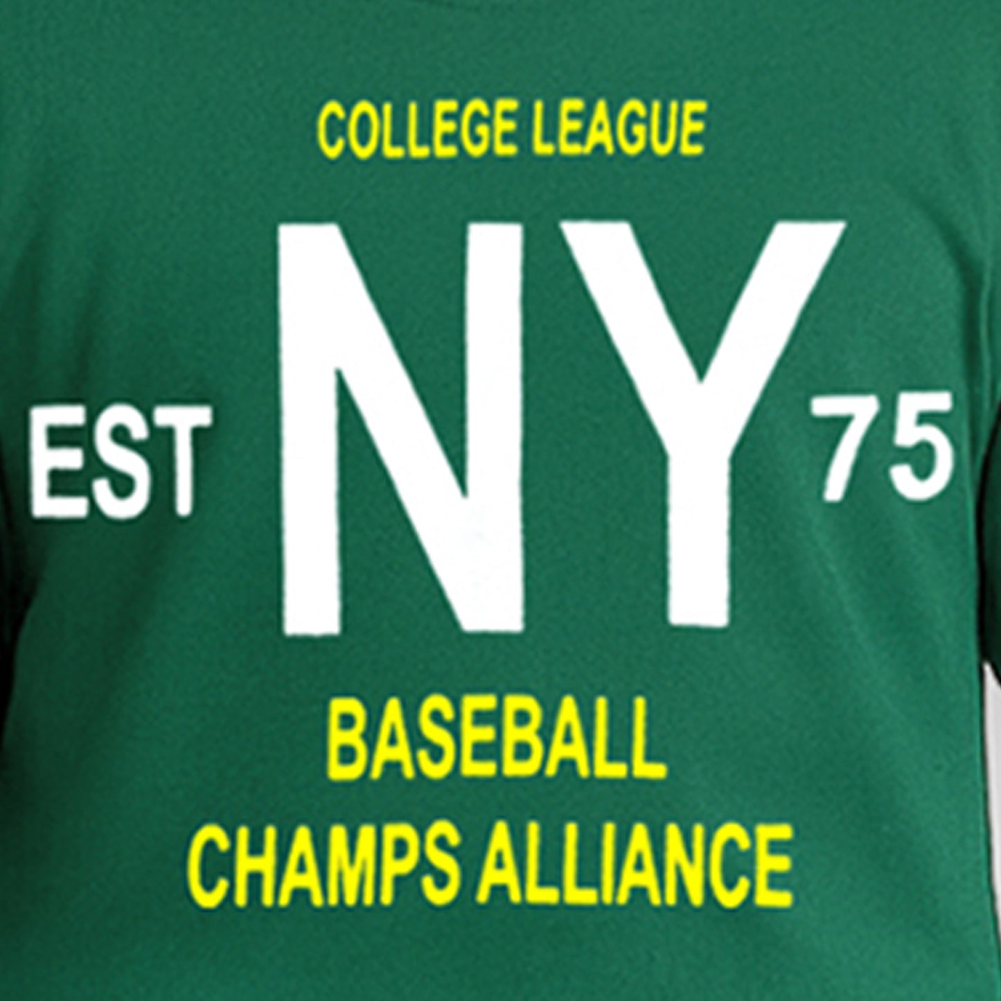 Kuchipoo Boys Regular Fit Cotton T-Shirt and Trackpant Set